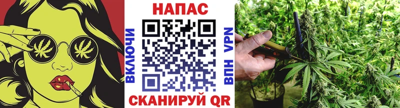 Магазины продажи наркотиков Псков ссылка на мегу вход ГЕРОИН АМФЕТАМИН Меф Каннабис ГАШ