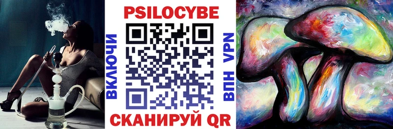 как найти   Псков  Псилоцибиновые грибы GOLDEN TEACHER 