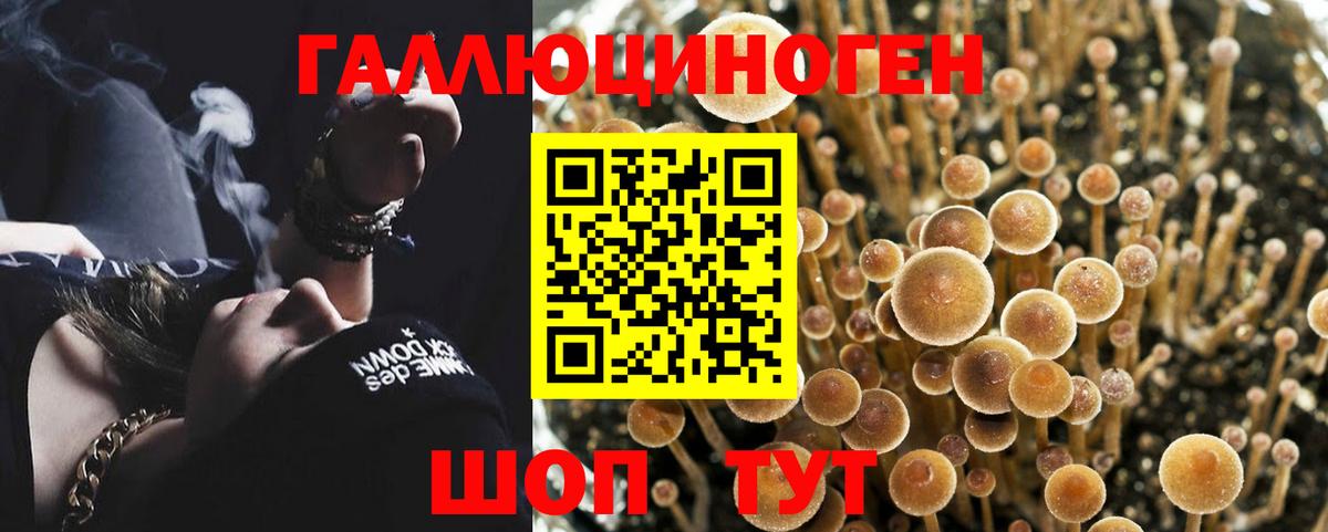 Галлюциногенные грибы MAGIC MUSHROOMS Псков